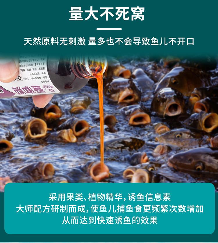 嘿友鱼-麝香酒 钓鲤鱼饵料添加剂